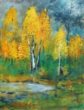 BIRKETRÆER - 80 X 60